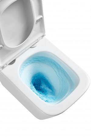 Подвесной унитаз безободковый Terminus Ватикан Monolit 490х340 белый Тамбов - фото 8 Подвесной унитаз безободковый Terminus Ватикан Monolit 490х340 белый Тамбов - фото 8