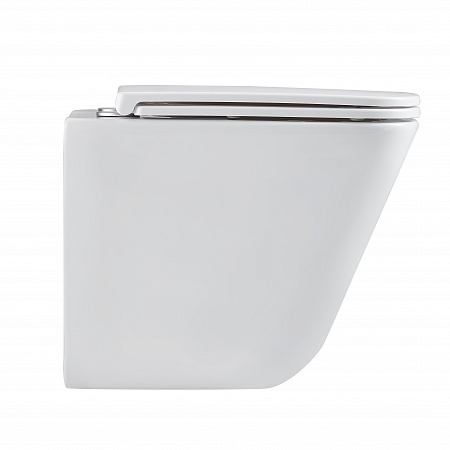 Подвесной унитаз безободковый Terminus Ватикан Monolit 490х340 белый Тамбов - фото 4 Подвесной унитаз безободковый Terminus Ватикан Monolit 490х340 белый Тамбов - фото 4