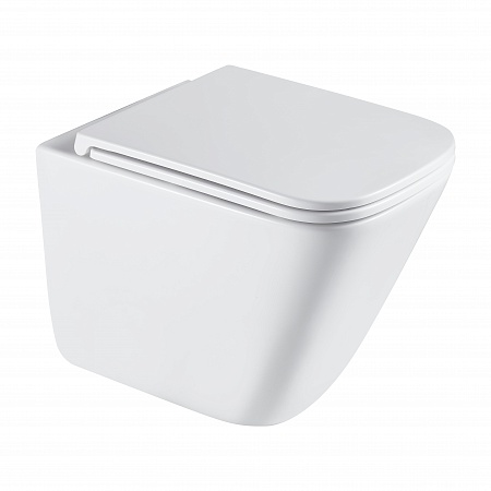 Подвесной унитаз безободковый Terminus Ватикан Monolit 490х340 белый Тамбов - фото 2 Подвесной унитаз безободковый Terminus Ватикан Monolit 490х340 белый Тамбов - фото 2