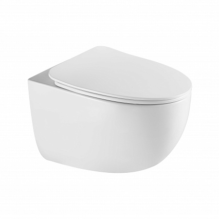 Подвесной унитаз безободковый Terminus Енисей Monolit 560х390 белый Тамбов - фото 2