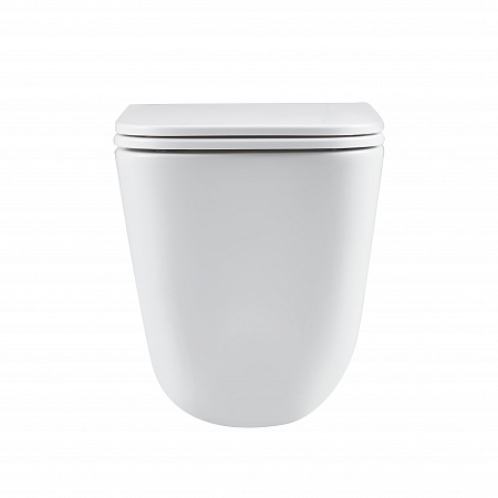 Подвесной унитаз безободковый Terminus Ватикан Monolit 490х340 белый Тамбов - фото 6 Подвесной унитаз безободковый Terminus Ватикан Monolit 490х340 белый Тамбов - фото 6