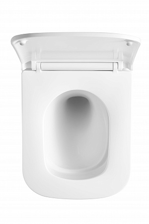 Подвесной унитаз безободковый Terminus Ватикан Monolit 490х340 белый Тамбов - фото 3 Подвесной унитаз безободковый Terminus Ватикан Monolit 490х340 белый Тамбов - фото 3